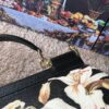 Dolce & Gabban Leather Print. Can be carried by strap or as a bag. Every time it is presented, there are always endless surprises of luxury.-25cm