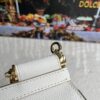 Dolce & Gabban Leather Print. Can be carried by strap or as a bag. Every time it is presented, there are always endless surprises of luxury.-25cm