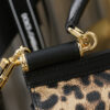 Dolce & Gabban Leather Leopard Print Women's Bag-18cm with original box free shipping