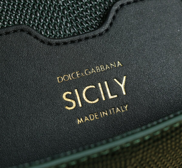 Dolce & Gabban Lizard Pattern Sicilian Women's Bag-Green-25cm with original box free shipping