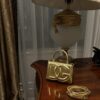 Dolce & Gabban Leather bag-Gold-14cm  free shipping