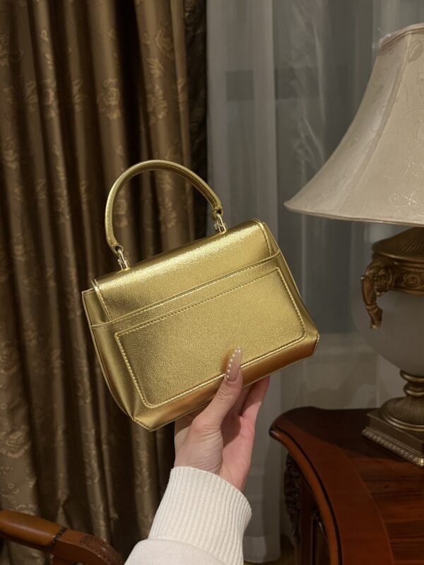 Dolce & Gabban Leather bag-Gold-14cm  free shipping