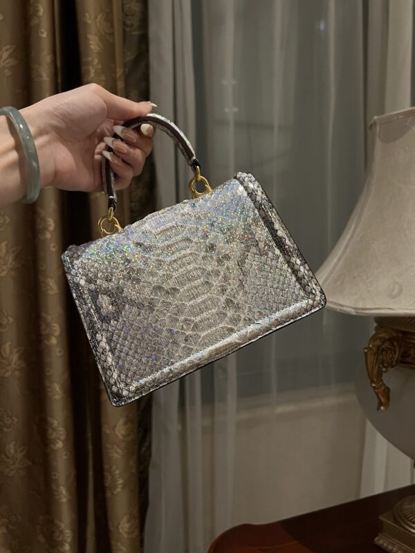 Dolce & Gabbana Snake Skin Bag-Gray-19cm with original box