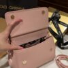 Dolce & Gabban Sicily 100% Original Replica! A masterpiece of the brand-Pink-20cm  with original box