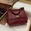 Dolce & Gabban Lizard Pattern Sicilian Women's Bag-Red-25cm with original box free shipping