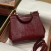 Dolce & Gabban Lizard Pattern Sicilian Women's Bag-Red-25cm with original box free shipping
