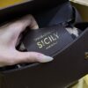 Dolce & Gabban Sicily 100% Original Replica! A masterpiece of the brand-Brown-20cm  with original box