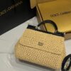 Dolce & Gabbana Raffia Grass Bag-Apricot-20cm with original box