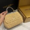 Dolce & Gabbana Raffia Grass Bag-Apricot-20cm with original box