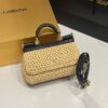 Dolce & Gabbana Raffia Grass Bag-Apricot-19cm with original box