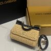 Dolce & Gabbana Raffia Grass Bag-Apricot-19cm with original box