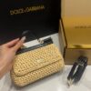 Dolce & Gabbana Raffia Grass Bag-Apricot-19cm with original box