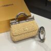 Dolce & Gabbana Raffia Grass Bag-Apricot-19cm with original box