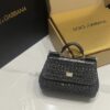 Dolce & Gabbana Raffia Grass Bag-Black-19cm with original box