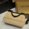 Dolce & Gabbana Raffia Grass Bag-Apricot-25cm with original box