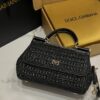 Dolce & Gabbana Raffia Grass Bag-Black-25cm with original box