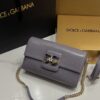Dolce & Gabbana Lizard Print Bag-Gray-25cm with original box