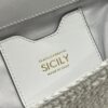 Dolce & Gabbana Cloud Bag-White-25cm with original box