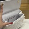 Dolce & Gabbana Cloud Bag-White-20cm with original box