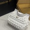 Dolce & Gabbana Cloud Bag-White-20cm with original box