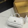Dolce & Gabbana Cloud Bag-White-19cm with original box