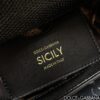 Dolce & Gabban Lizard Pattern Sicilian Women's Bag-Black-20cm with original box free shipping