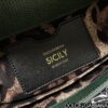 Dolce & Gabban Lizard Pattern Sicilian Women's Bag-Green-20cm with original box free shipping