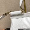 Dolce & Gabban Lizard Pattern Sicilian Women's Bag-White-20cm with original box free shipping