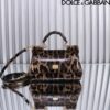 Dolce & Gabban Leather Smooth Leopard Print Women's Bag-18cm  with original box free shipping