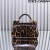 Dolce & Gabban Leather Smooth Leopard Print Women's Bag-18cm  with original box free shipping