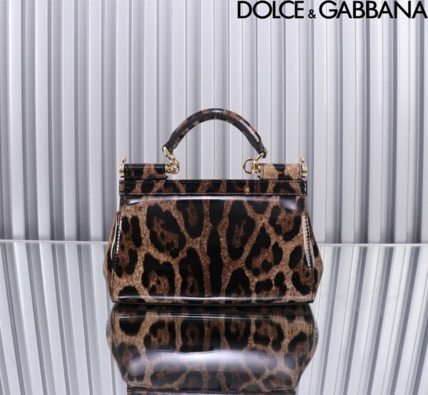 Dolce & Gabban Leather Smooth Leopard Print Women's Bag-18cm  with original box free shipping