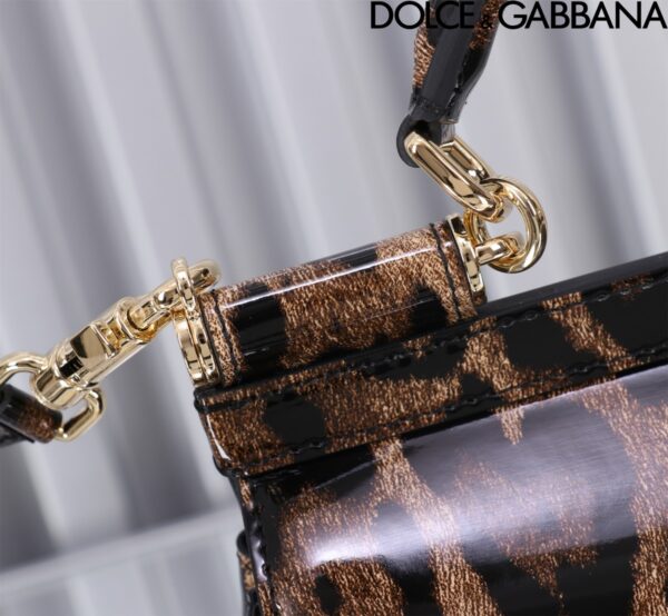 Dolce & Gabban Leather Smooth Leopard Print Women's Bag-18cm  with original box free shipping