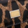 Dolce & Gabban Leather Smooth Leopard Print Women's Bag-20cm with original box free shipping