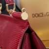 Dolce & Gabban Lizard Pattern Sicilian Women's Bag-Red-25cm with original box free shipping (复制)