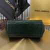 Dolce & Gabban Lizard Pattern Sicilian Women's Bag-Green-20cm  free shipping