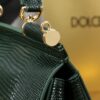 Dolce & Gabban Lizard Pattern Sicilian Women's Bag-Green-20cm  free shipping