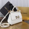 Dolce & Gabban Lizard Pattern Sicilian Women's Bag-White-20cm  free shipping