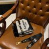 Balmain original single Women's Bag-23cm with original box free shipping
