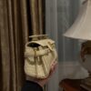 Balmain original single cowhide genuine leather crocodile pattern  Women's Bag-19cm with original box free shipping