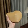 ALAlA LE CEUR The most popular heart-shaped bag -L21cm with original box free shipping