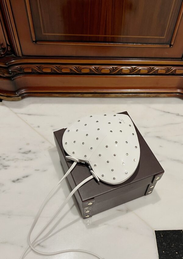 ALAlA LE CEUR The most popular heart-shaped bag -L21cm with original box free shipping