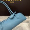 Alaia Le Teckel Dachshund Bag -27cm with original box free shipping