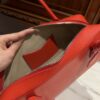 Alaia Le Teckel Dachshund Bag -33cm with original box free shipping