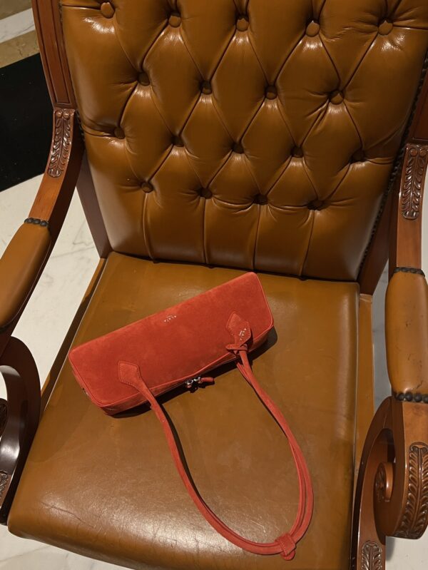 Alaia Le Teckel Dachshund Bag -33cm with original box free shipping
