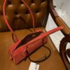Alaia Le Teckel Dachshund Bag -33cm with original box free shipping