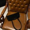 Alaia Le Teckel Dachshund Bag -33cm with original box free shipping
